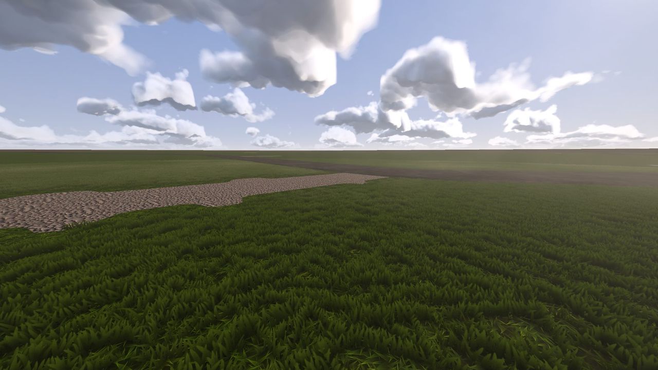 Long grass beside a gravel road on Plains.